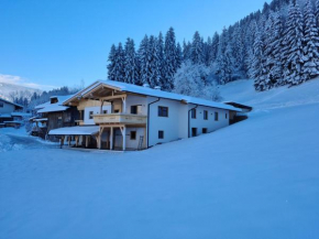  Luxurious Apartment in Kaltenbach near Ski Area  Кальтенбах